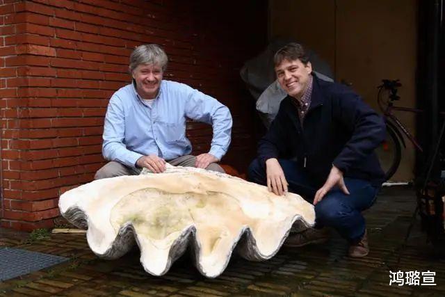 文玩界“大宝贝”你有么？没有就没机会了！