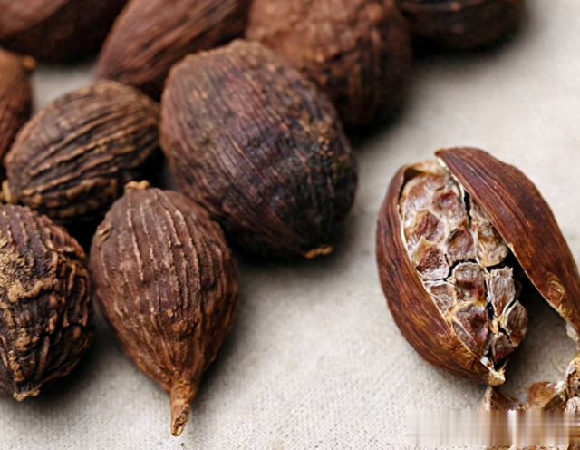 谁说牛肉难炖？关键是这5种香料，牛肉软烂出锅飘香，好吃还不柴