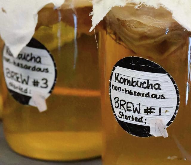 康普茶的微生物揭秘：新研究显示其具有消除脂肪的魔力