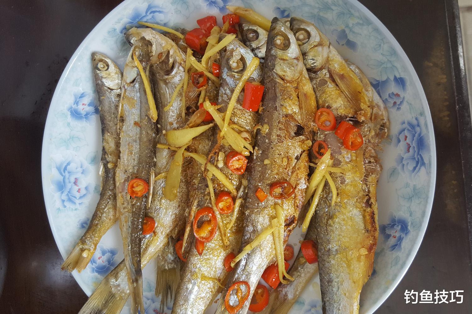 在水库钓黄尾鱼的5个技巧，大黄尾连竿很爽