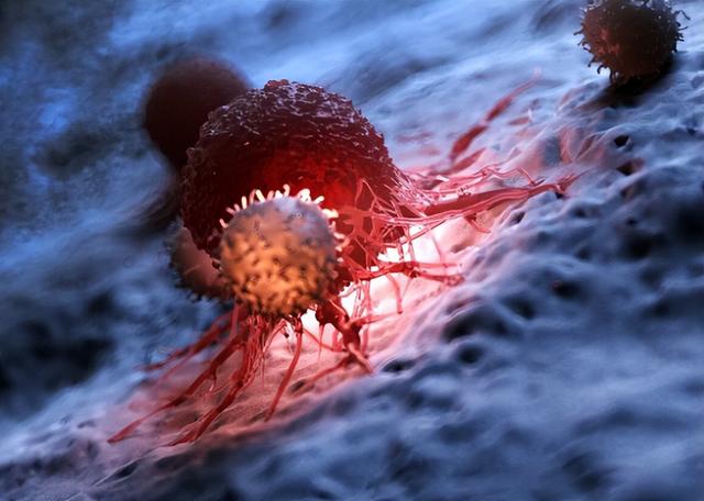 冷冻的馒头会致癌?超过三天就不能吃了?央视实验告诉你答案