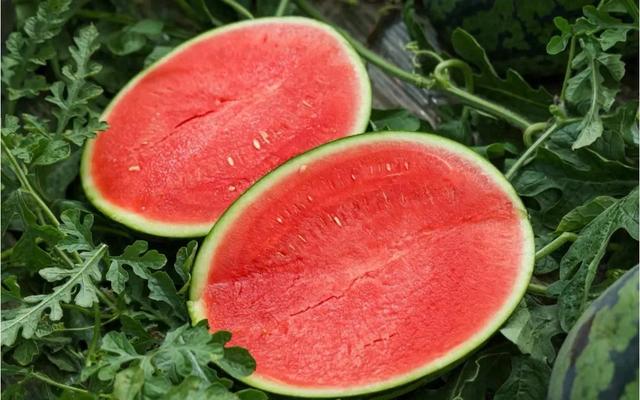 吃不完的西瓜,可以不用放冰箱!教你一个好办法,过夜后依然好吃