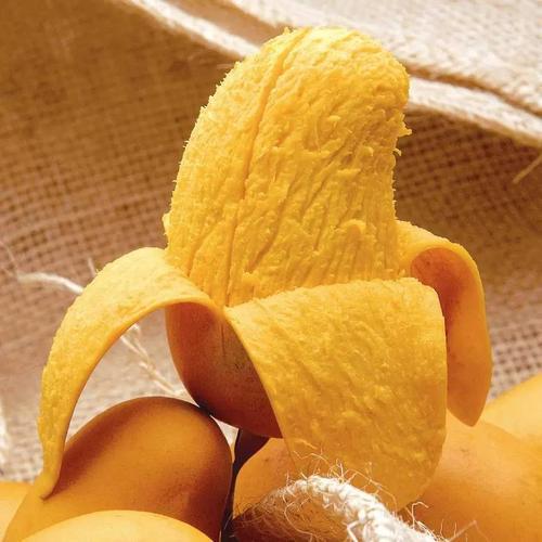 芒果也分公母,公的才好吃,老果农:牢记这3点,公母一看便知