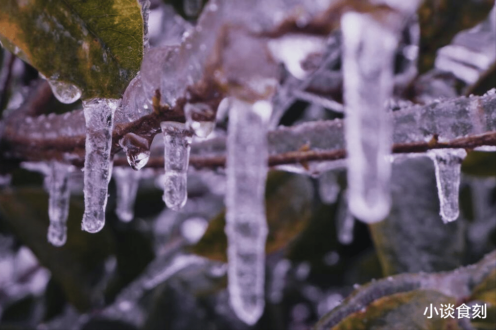 “冷不冷，八月初一早看天”，今年冬天会冷到哭吗？谚语咋预兆？