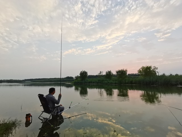 钓友们的野钓必修课：对鱼的感官深入探索，是钓好鱼的基础！