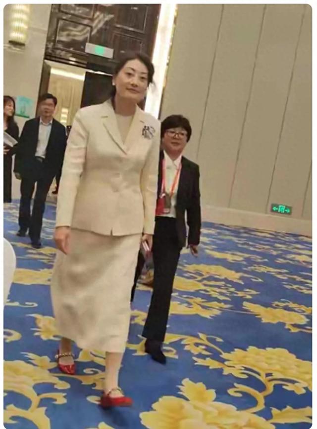 哇哈哈集团大会,宗馥莉乱发红鞋,网友:忙的连头发都顾不上打理