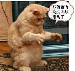 钓鱼参加“空军”没必要沮丧,搞清楚了其中原因,反而该感到欣慰