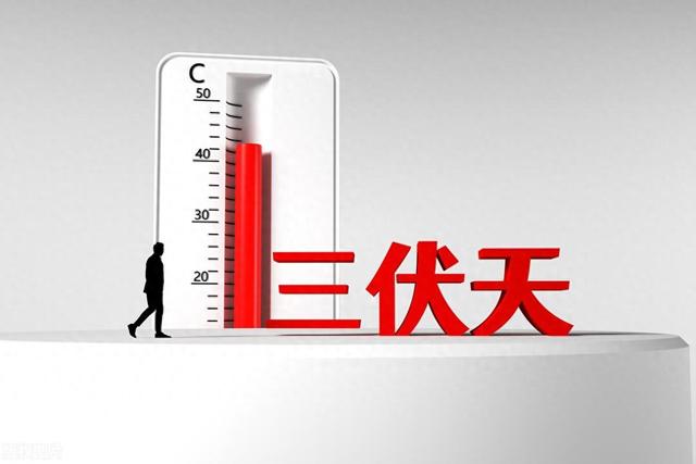 三伏天减肥,做好5点,你也会瘦下来