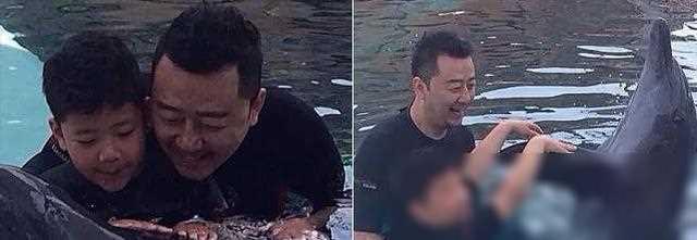 爸爸去哪儿|离婚、出轨、打女人，《爸爸去哪儿》爸爸们翻车，萌娃现状如何？