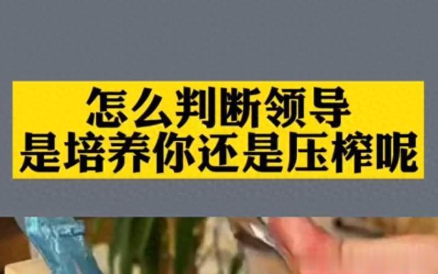 怎么判断领导是在培养你，还是在压榨你？