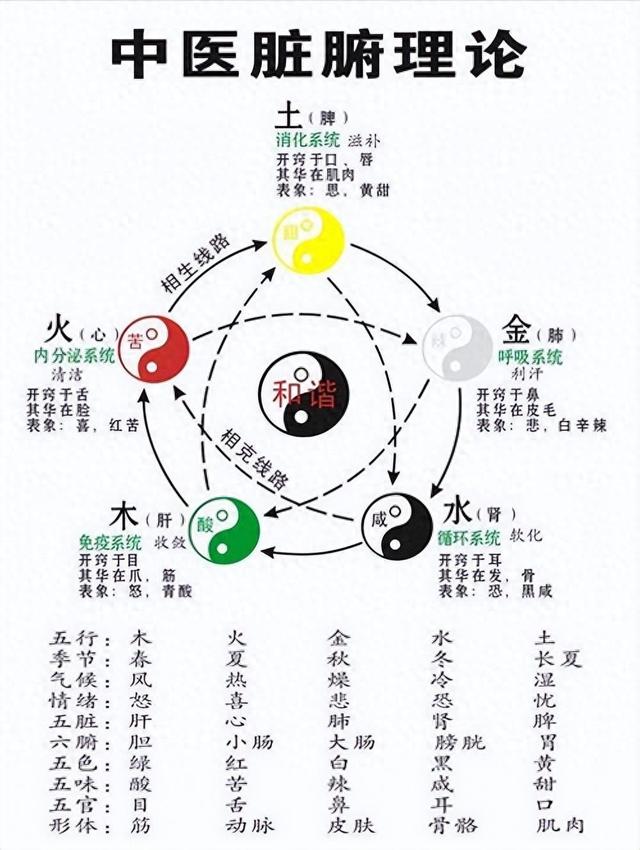 大腿根部湿在肝 半夜易醒在肝 视力模糊在肝 中医告诉你养肝方法