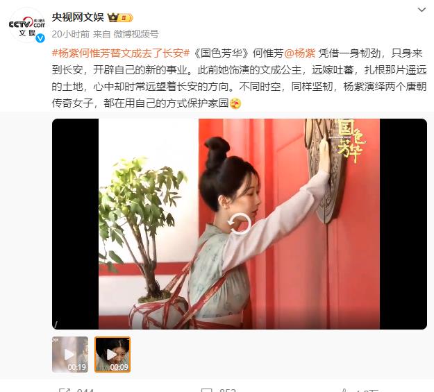 央视网文娱点评杨紫新角色:字字不提演技,却句句说到了观众心坎