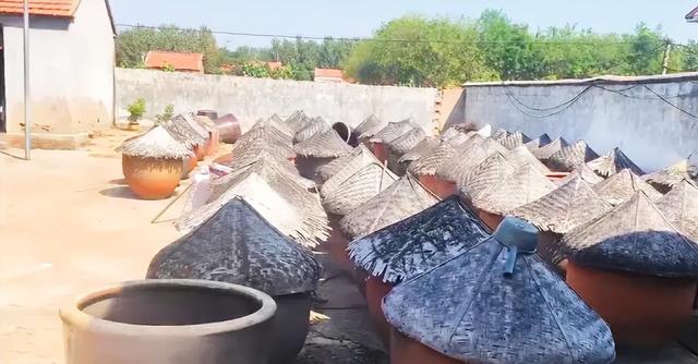 一斤咸菜68，一缸咸菜賺幾萬(wàn)，比肉還貴的咸菜到底有什么貓膩