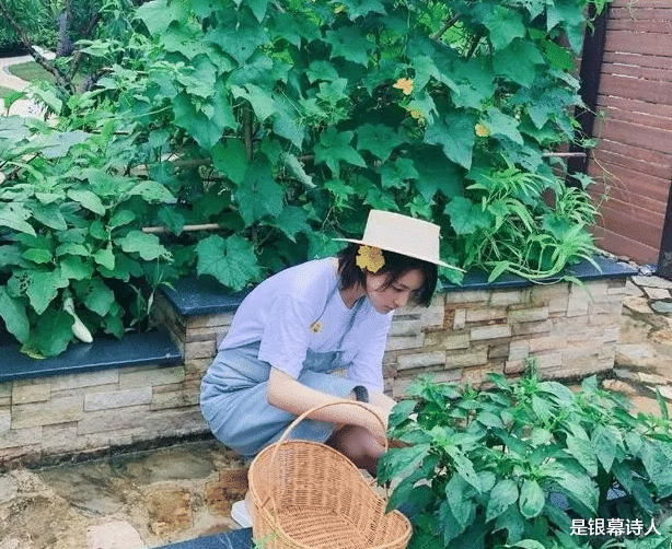 和李晨分手5年后,她结婚生女搬进豪宅