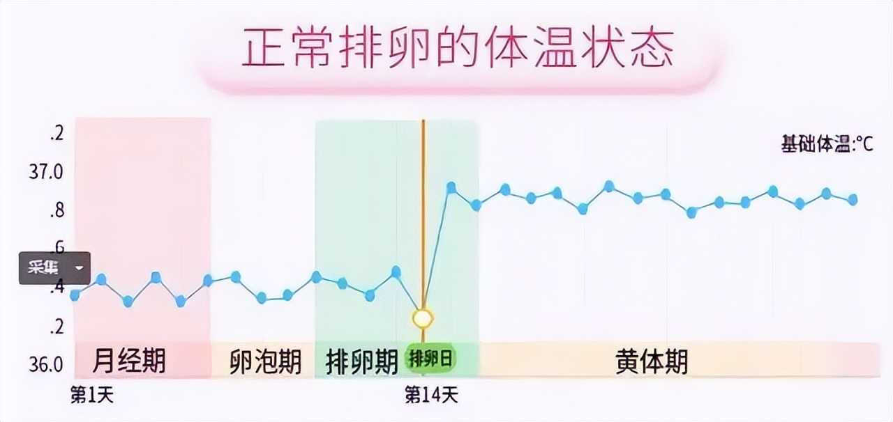 比赛输了就该吃避孕药?凭什么要对郑钦文这么大恶意