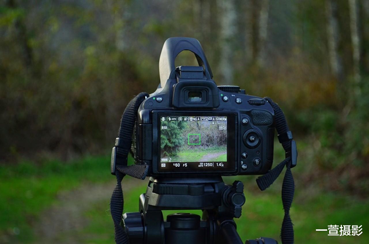 2025相機市場展望 單反退場 膠片回歸 中畫幅變革