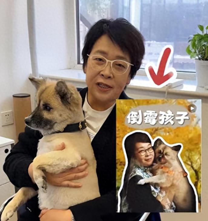 59岁央视主持张越现状:鼻孔外翻身形暴瘦,与土狗为伴,不敢认