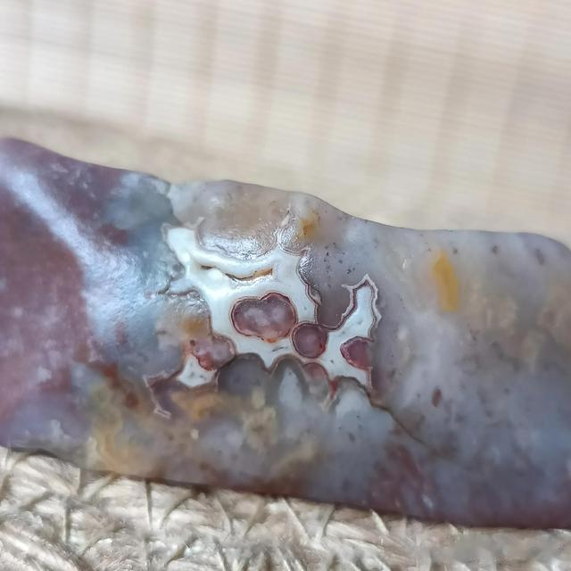 奇石收藏，千奇百怪的收藏品的背后是千姿百态的收藏者