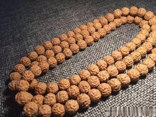 金刚菩提，老手和新手的区别到底在哪？