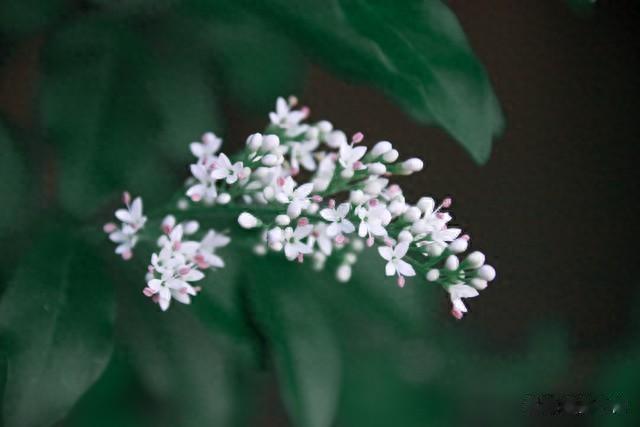 职场中:正能力+纯感力+屏蔽力=人生无敌