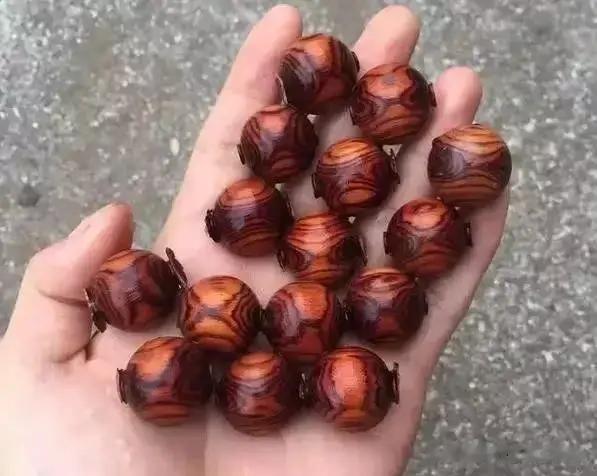 一根老擀面杖变万元手串，这纹路太吓人！