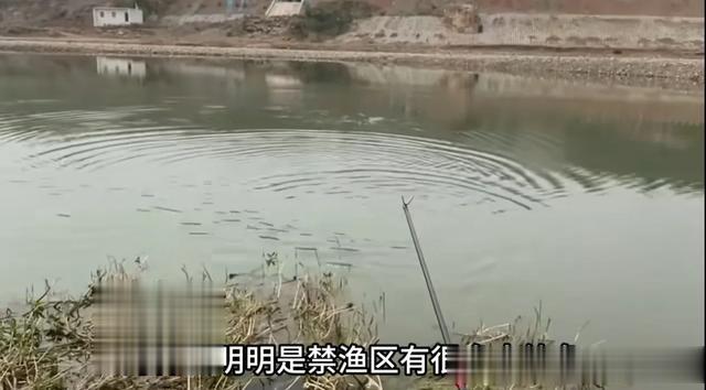 钓鱼人在那一坐几个小时不会无聊吗?空军 打窝王别进,评论笑死了