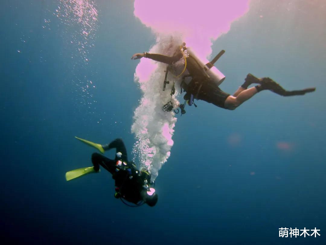 《月亮》制片人公开讽刺《火锅》,直言片方玩不起,承诺绝不撤档