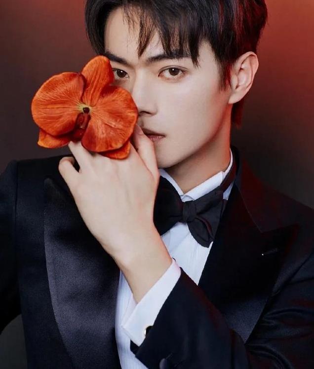 平心而论,内娱真正的绝色美男只有12位,他们酷帅雅痞,清新性感