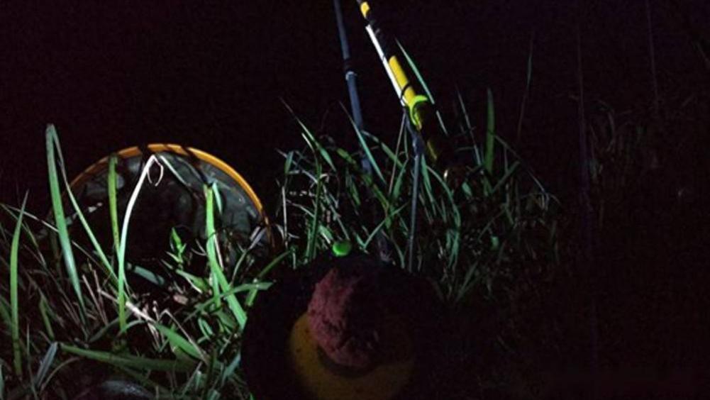威胁夜钓安全的不仅有毒蛇，还有这几种生物，钓友们要注意！