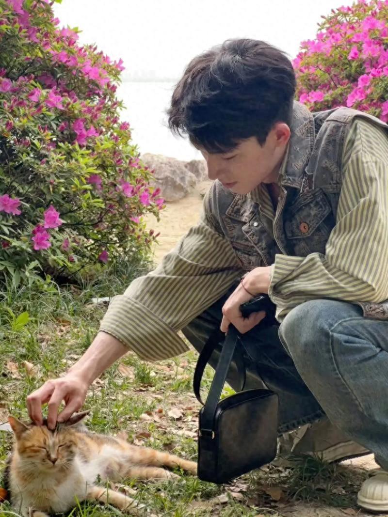 娱乐圈乱象中的伪装与真相