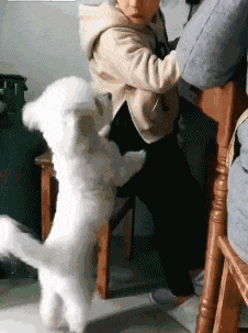 窦靖童要把王菲愁死了！剪莫西干发型秒变三毛，穿红绿撞色衣出行