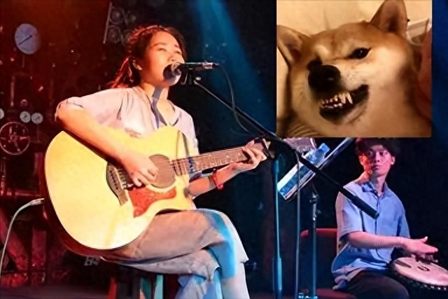 民谣界的女流氓,歌词粗俗多次抄袭,网友:复制粘贴专业的