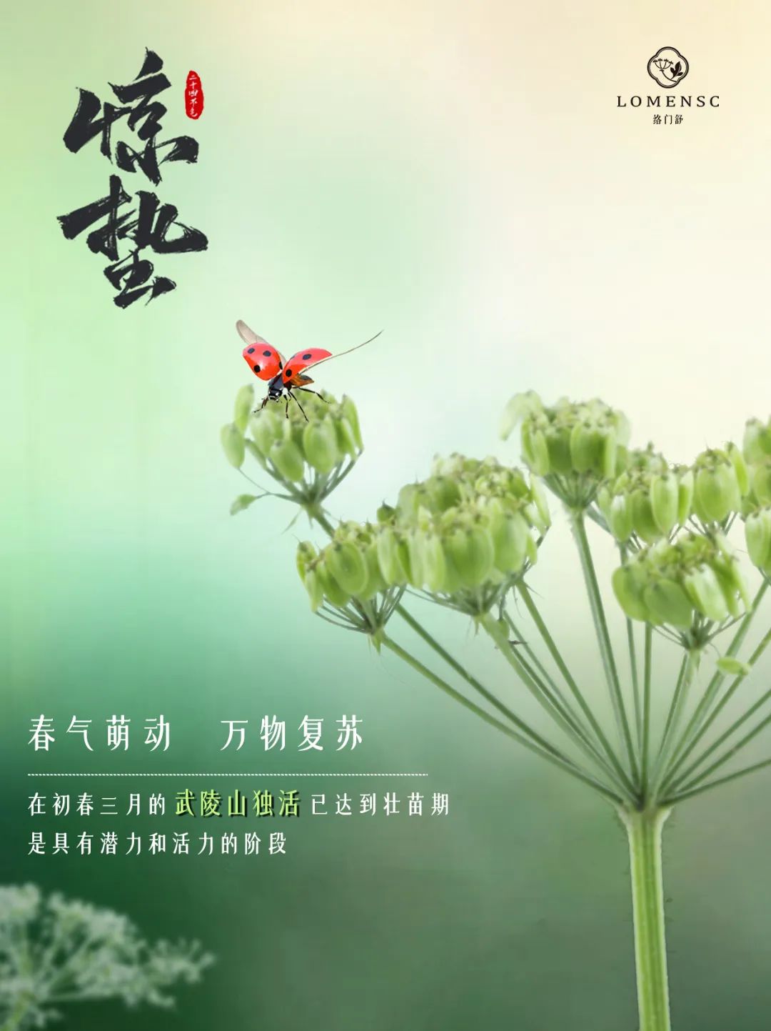 惊蛰新启，络门舒与你共赴肌肤新生之旅