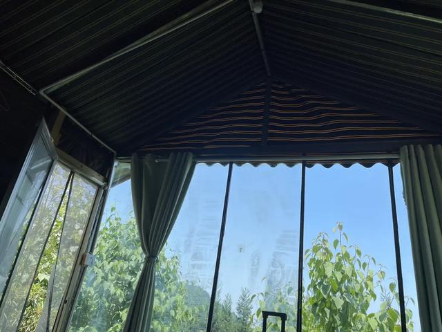 瑜伽：来一场说走就走的内心丰盈之旅，森林内观