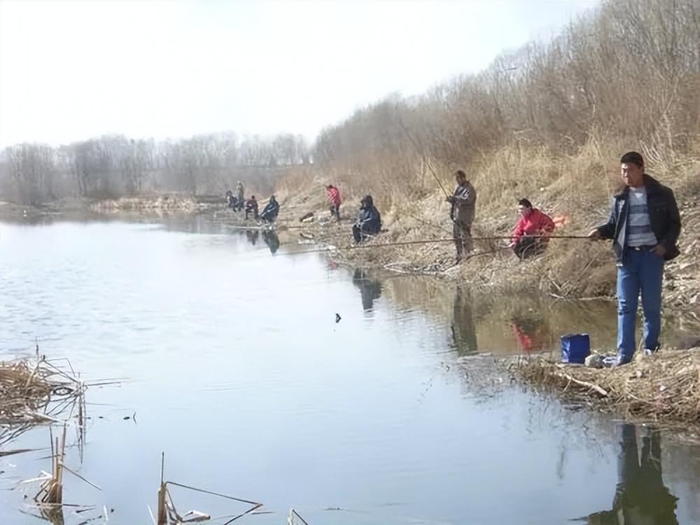 早春钓鱼,选这三个窗口期出钓,能尽情享受垂钓的乐趣!