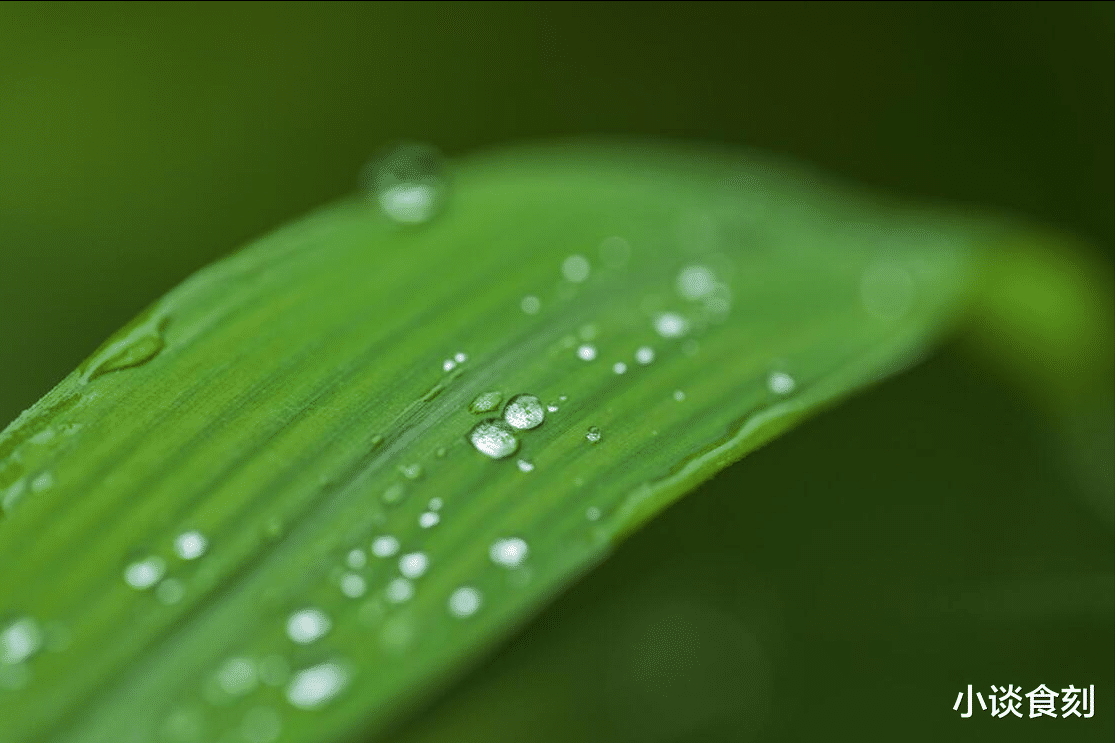 今年9月7日是白露,老人说“白露孟婆汤,必定有人伤”,啥意思