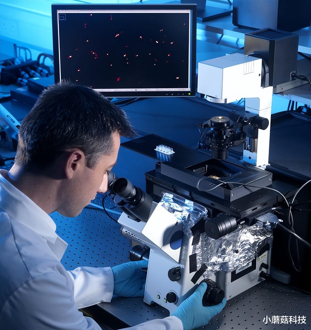 外媒：ASML光刻机根本“挡不住”了