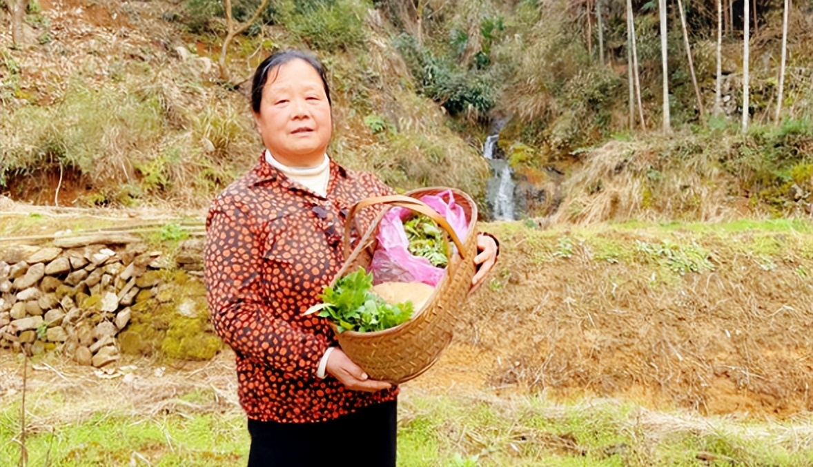 香椿芽靠边站，这4种才是“树上第一鲜”，鲜嫩营养高，错过可惜！