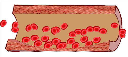 盲女才是欧阳娜娜的舒适圈？人设全崩后她终于找到新赛道了