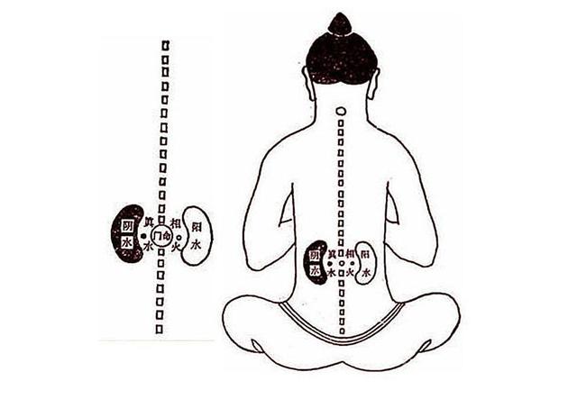 最难补的阳气，还是肾中真阳！中医一味药，把阳气牢牢锁在肾中！