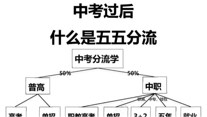 中考政策分流，那些没考上高中的学生该怎么办？