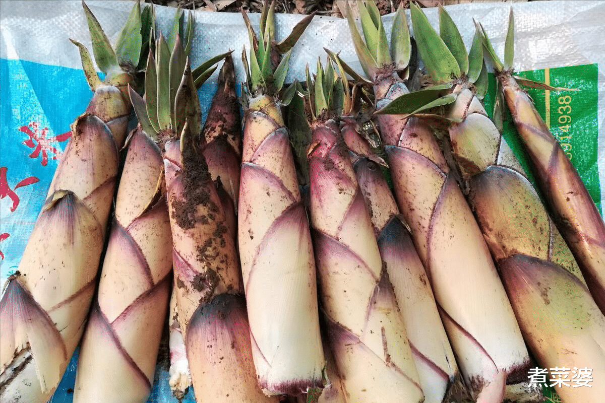 全国哪的笋子最好吃？经评过比，这5个地方上榜，看看有你家乡吗