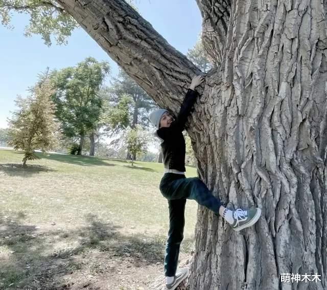 33岁郑爽近照曝光,发际线后移星味全无,还在用3年前的旧手机