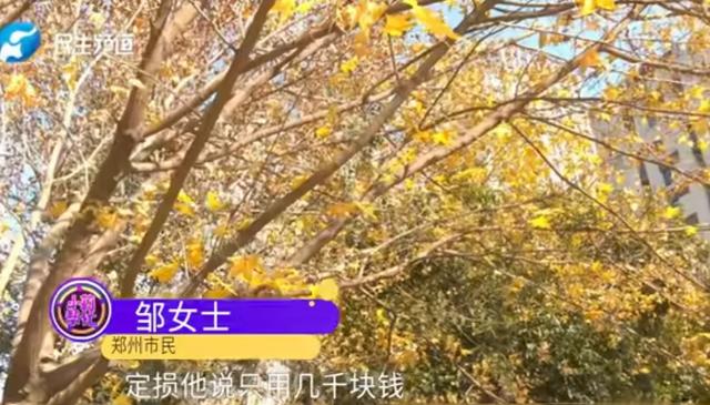 女子撞玛莎拉蒂双方私了，当场赔3.2万后反悔，约好再去4s店定损