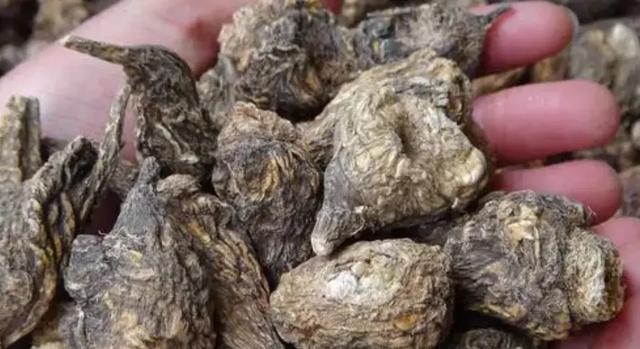 曾经很火，如今跌落神坛的7种“天价神药”，你买过几种？