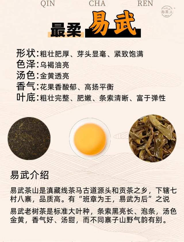 普洱茶公认七大“最”