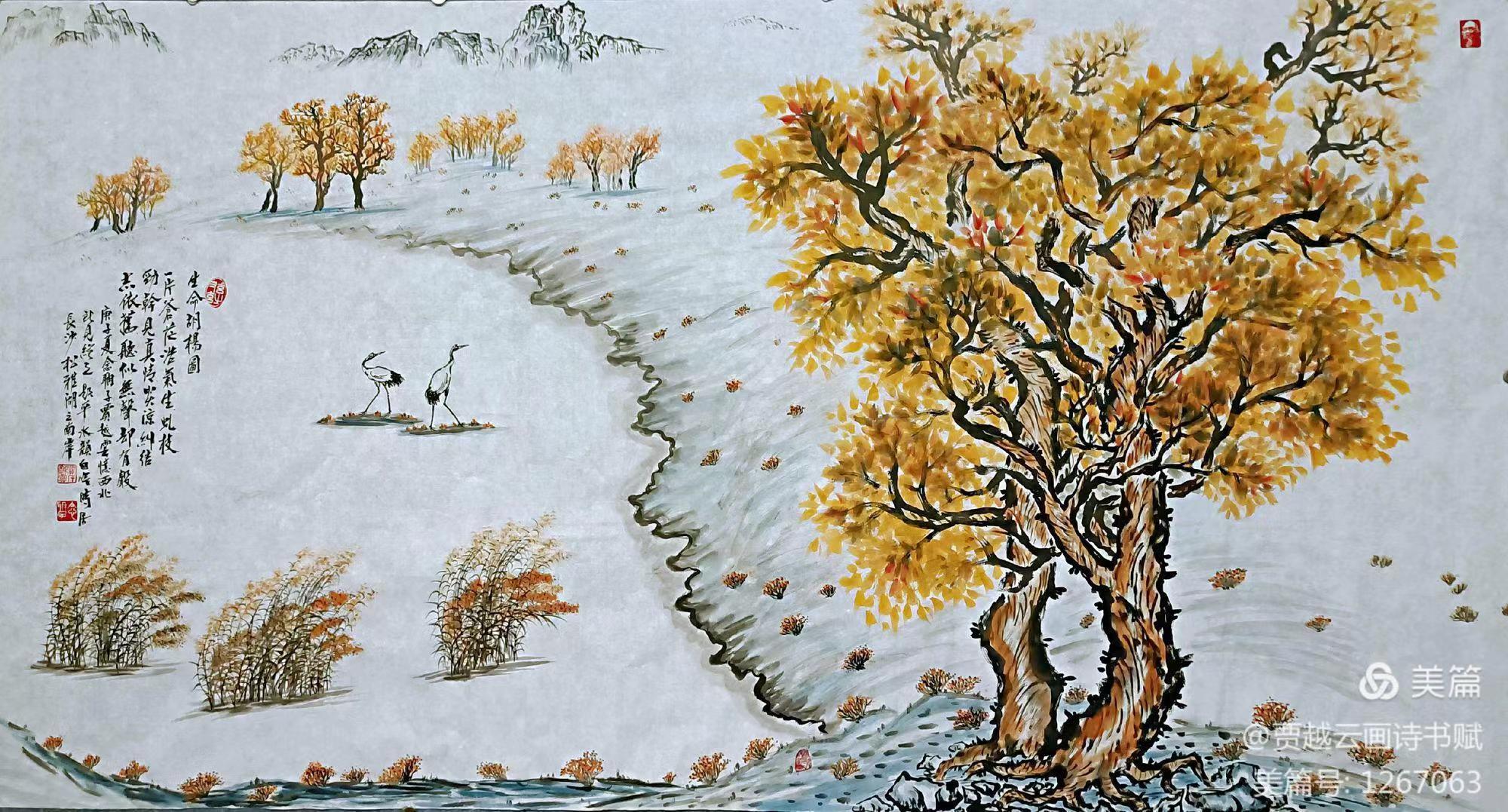 网上搜索贾越云，令我胜读十年书