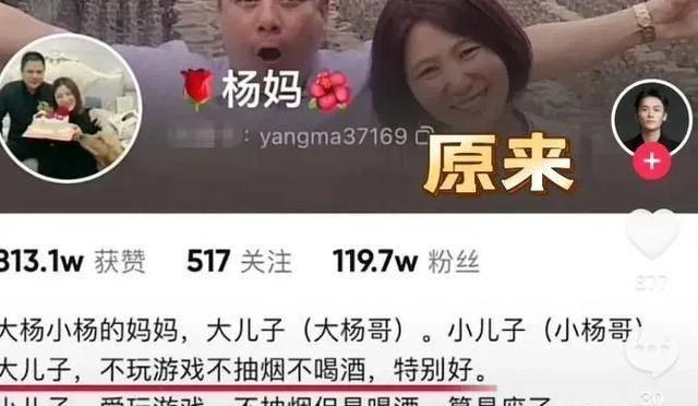 吃相太难看!小杨哥欲复出,用小号直播被平台秒封,评论区炸锅!