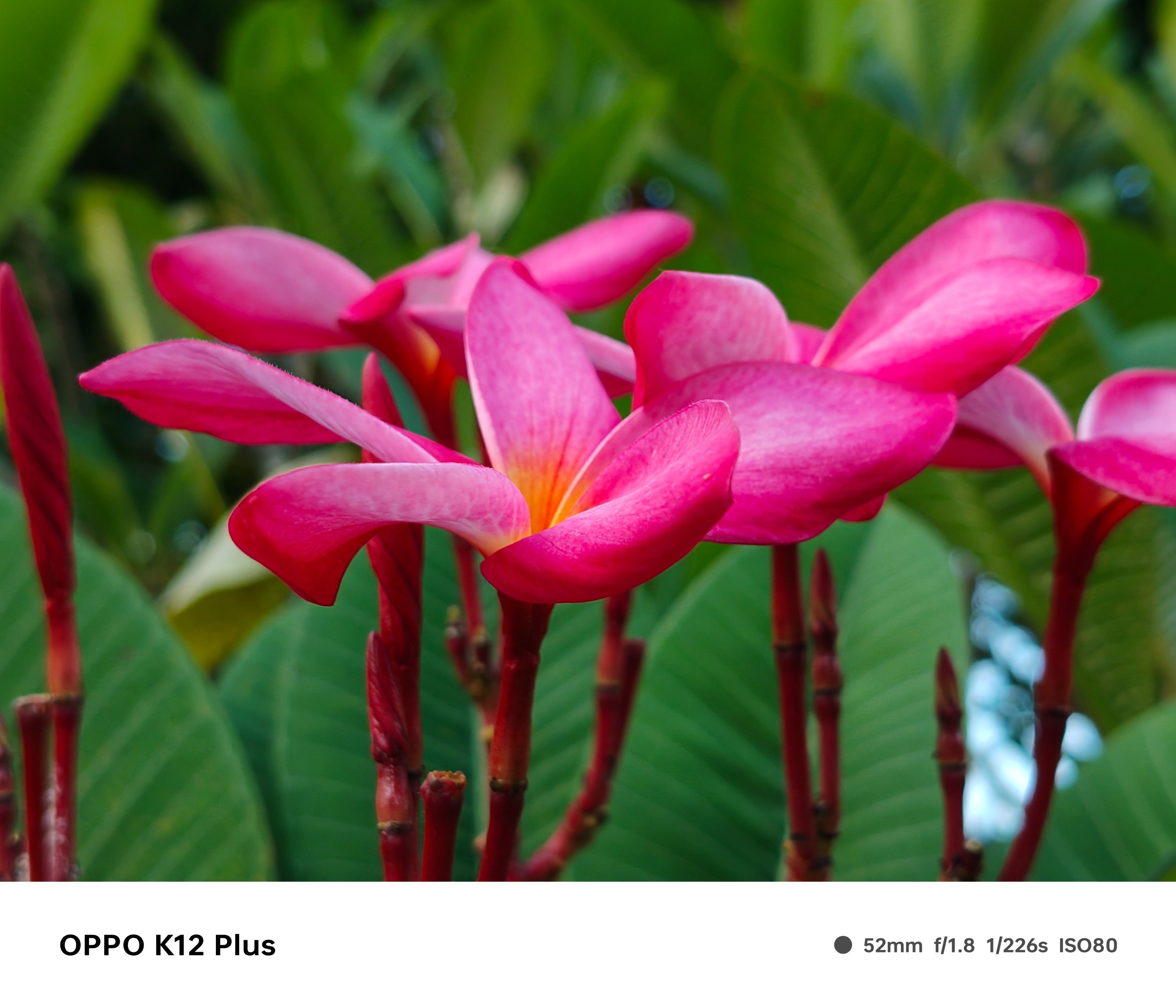 OPPO K12 Plus評測：2K價位內的超長續航水桶耐用機