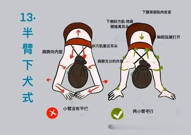 31个瑜伽体式发力走向精准正位图集!